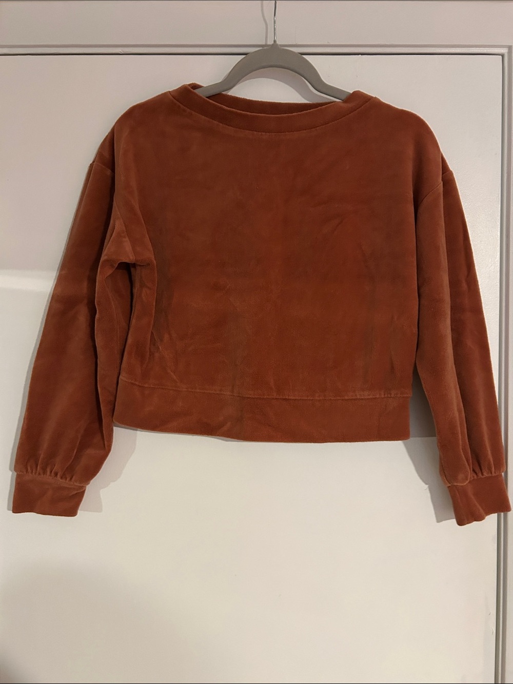 wild fable Rust-Orange Velour Cropped Crewneck Sweatshirt
